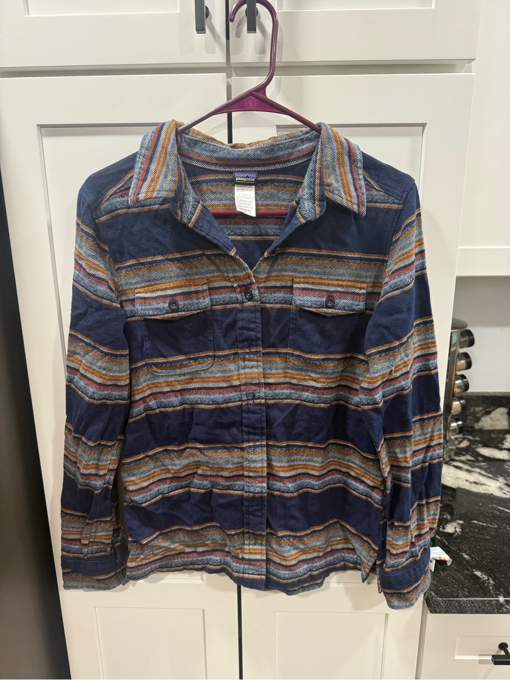 Patagonia Navy Multistripe Button-Down Shirt